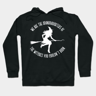 We Are The Granddaughters of the Witches You Couldn't Burn Hoodie